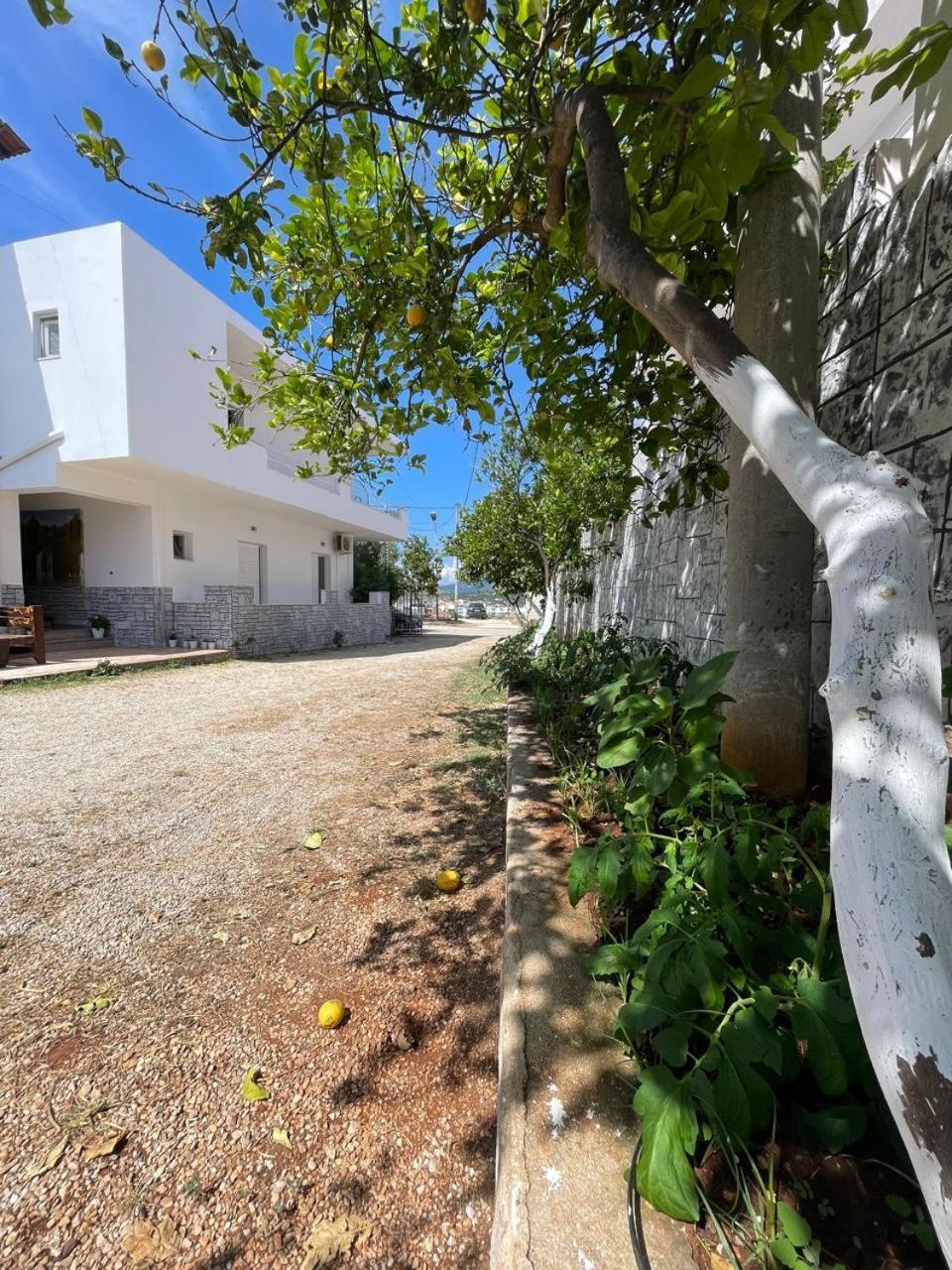 Vila Era كساميل المظهر الخارجي الصورة